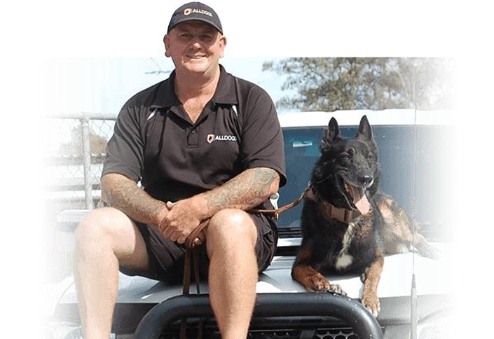 Head trainer Jamie Davis with German Shepard on car