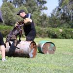 Jamie with Dutch Sheperd on concrete pipes