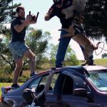 Jamie on top of car with attack dog