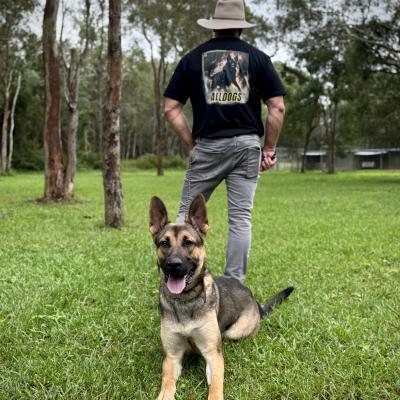 Alldogs Personal Protection Dog