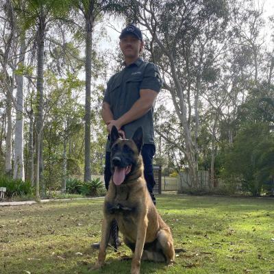 Personal Protection Dog