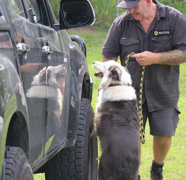 Jamie Davies training sniffer dog next to car